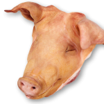 buy pig head