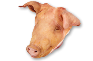 buy pig head